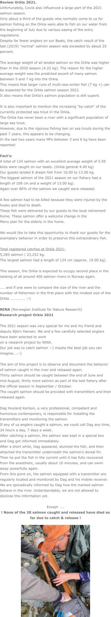 Review Orkla 2021. Unfortunately, Covid also influenced a large part of the 2021 salmon season. Only about a third of the guests who normally come to us for salmon fishing on the Orkla were able to fish on our water from the beginning of July due to various easing of the entry regulations. Despite far fewer anglers on our Beats, the catch result of the last (2019) "normal" salmon season was exceeded by about 25 percent.  The average weight of all landed salmon on the Orkla was higher than in the 2020 season (4.22 kg). The reason for the higher average weight was the predicted ascent of many salmon between 5 and 7 kg into the Orkla. This means that larger runs of multi-sea-winter fish (7 kg +) can be expected for the Orkla salmon season 2022. It also means that Orkla's salmon population is still superb.  It is also important to mention the increasing "by-catch" of the currently protected sea trout in the Orkla. The Orkla has never been a river with a significant population of large sea trout. However, due to the rigorous fishing ban on sea trouts during the past 7 years, this appears to be changing.  In the last two years many MFs between 3 and 6 kg have been reported!  Fact’s: A total of 124 salmon with an excellent average weight of 5.05 kilos were caught on our beats. (Orkla general 4.40 kg) Our guests landed 6 dream fish from 10.00 to 13.00 kg. The biggest salmon of the 2021 season on our fishery had a length of 108 cm and a weight of 13.00 kg). Again over 80% of the salmon we caught were released.  A few salmon had to be killed because they were injured by the hooks and bled to death. These fish were delivered by our guests to the local retirement home. These salmon offer a welcome change in the Menu plan for the elderly in the home.  We would like to take this opportunity to thank our guests for the exemplary behavior in order to preserve this extraordinary fish.  Total registered catches at Orkla 2021: 5,285 salmon / 23,252 kg. The largest salmon had a length of 124 cm (approx. 19.00 kg).  This season, the Orkla is expected to occupy second place in the ranking of all around 400 salmon rivers in Norway again.  .... and if one were to compare the size of the river and the number of fishermen in the first place with the modest size of the Orkla ……………. :-)  NINA (Norwegian Institute for Nature Research) Research project Orkla 2021  The 2021 season was very special for me and my friend and deputy Björn Hansen. We and a few carefully selected anglers have been selected to work  on a research project by NINA. Our job was to catch salmon :-) maybe the best job you can imagine….:-)  The aim of this project is to observe and document the behavior of salmon caught in the river and released again. Thirty salmon should be caught between the end of June and mid-August, thirty more salmon as part of the test fishery after the official season in September / October. The caught salmon should be provided with transmitters and then released again.  Dag Hoyland Karlson, a very professional, competent and humorous contemporary, is responsible for installing the transmitters and monitoring the salmon. If any of us anglers caught a salmon, we could call Dag any time, 24 hours a day, 7 days a week. After catching a salmon, the salmon was kept in a special box and Dag got informed immediately.  After a short while, Dag appeared, stunned the fish, and then attached the transmitter underneath the salmon's dorsal fin. Then he put the fish in the current until it has fully recovered from the anesthetic, usually about 10 minutes, and can swim away powerfully again.  From this point on, the salmon equipped with a transmitter are regularly located and monitored by Dag and his mobile receiver. We are sporadically informed by Dag how the marked salmon behave in the river. Understandably, we are not allowed to disclose this information yet.  Except ….. ! None of the 30 salmon caught and released have died so far due to catch & release !