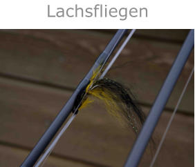Lachsfliegen