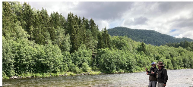 Kurs/Guiding. Lachs richtig drillen