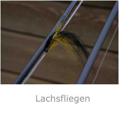 Lachsfliegen