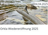 Orkla Wiedereröffnung 2025  04.04.2025