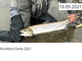 Rückblick Orkla 2021  10.09.2021